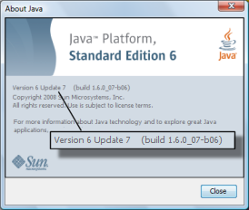 Sun Java About dialog box, showing external version 6 update 10, internal version 1.6.0_10