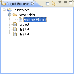 Project Explorer View