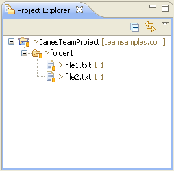 Project Explorer View