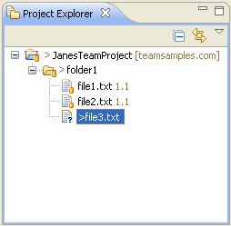 Project Explorer View